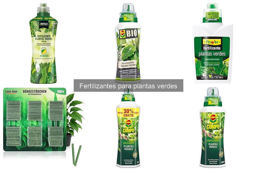 Tipos de fertilizantes para plantas verdes: guía completa