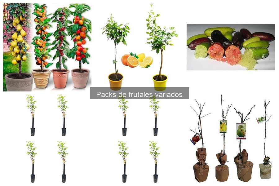 Tipos de frutales en packs: ¡Descubre las mejores variedades!