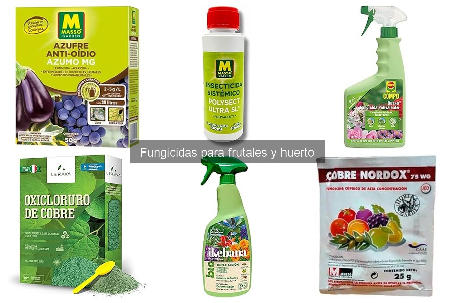 Tipos de fungicidas para frutales: guía completa