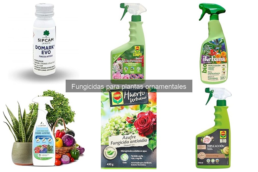 Tipos de fungicidas para plantas ornamentales: guía completa