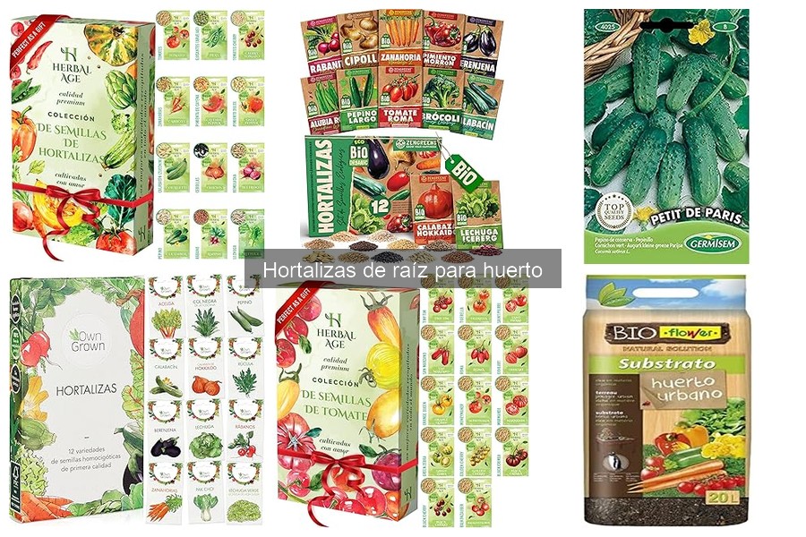Tipos de Hortalizas de Raíz para tu Huerto Doméstico