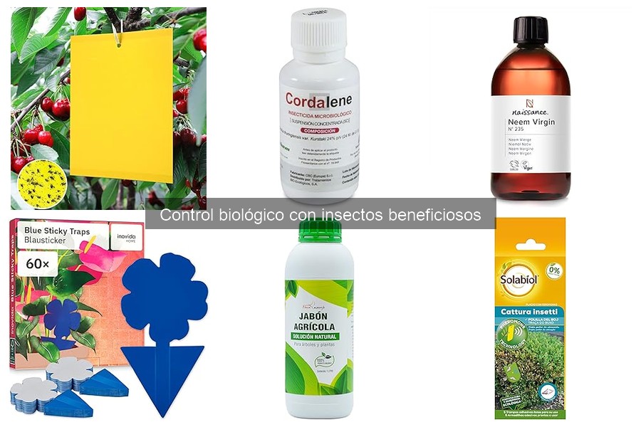 Tipos de insectos beneficiosos para tu jardín