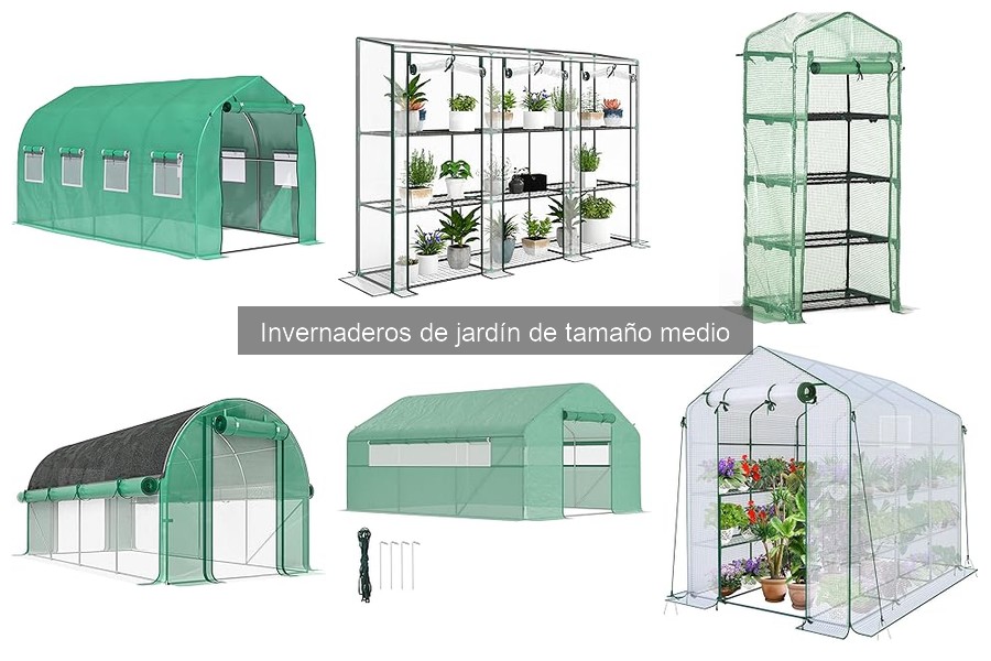 Tipos de invernaderos de jardín de tamaño medio