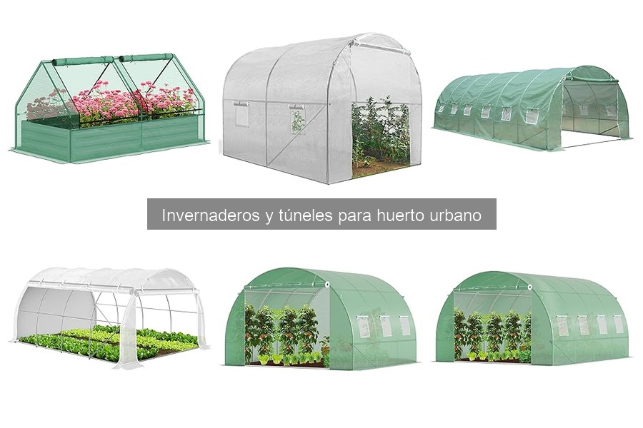 Tipos de invernaderos para huertos urbanos: guía esencial