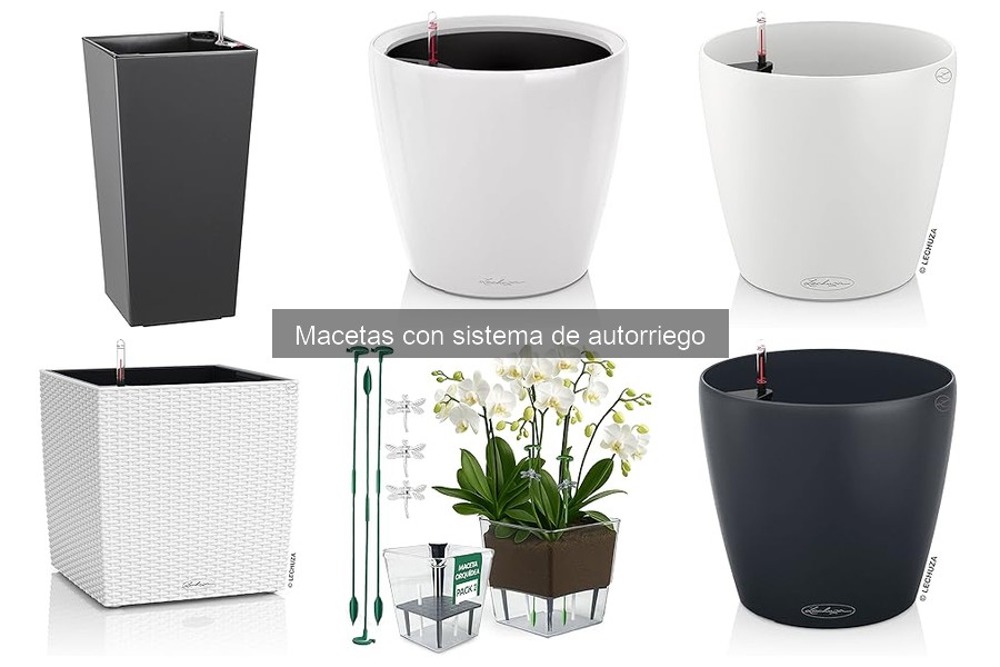 Tipos de macetas con autorriego: variedades y características