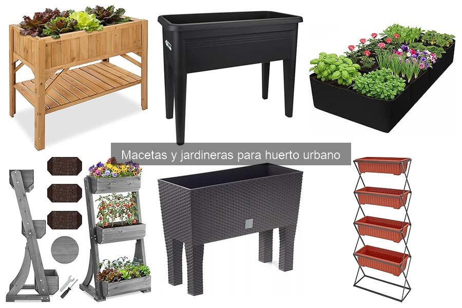 Tipos de macetas para huerto urbano: características y usos