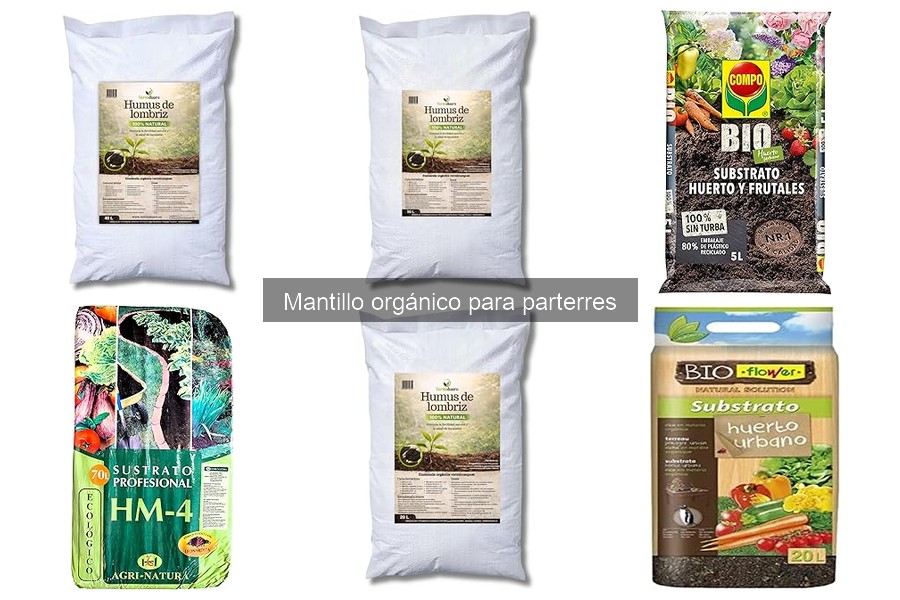 Tipos de mantillo orgánico: guía para elegir el mejor