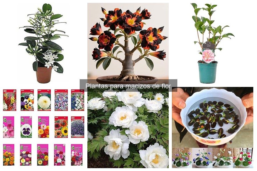 Tipos de plantas para macizos de flor: guía de variedades