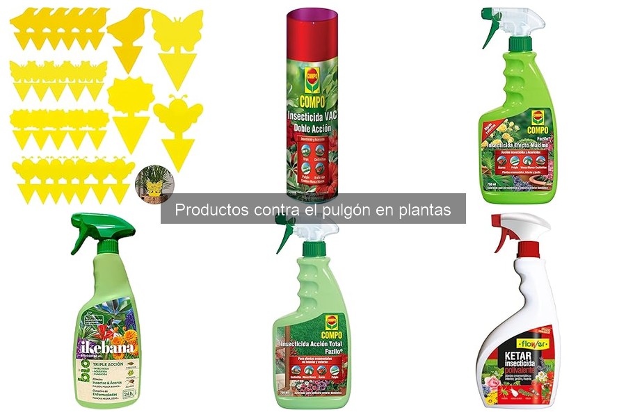 Tipos de Productos para Combatir Pulgones en Plantas