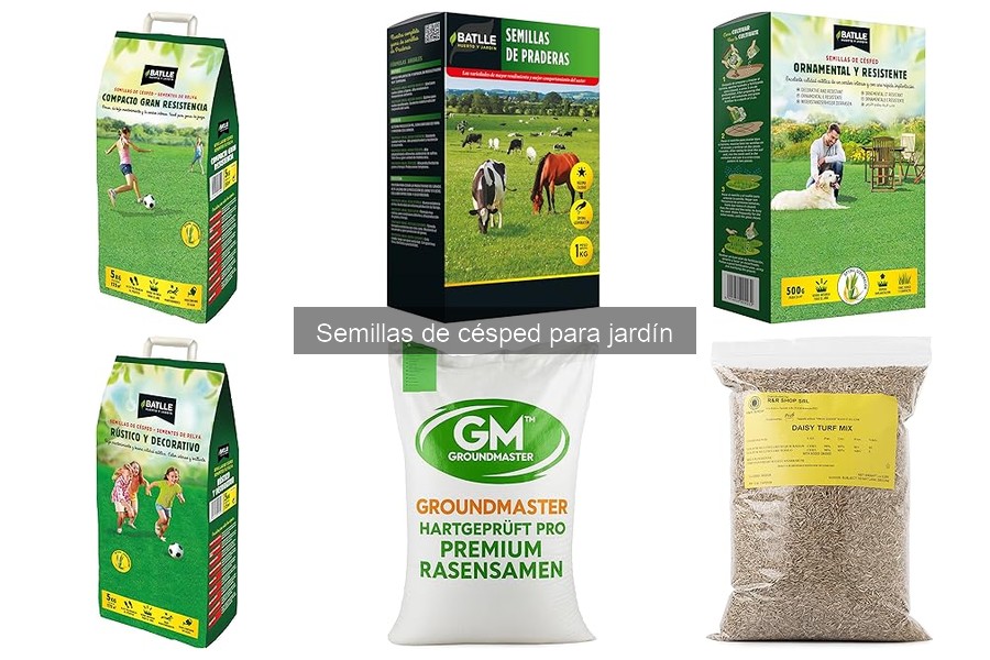 Tipos de Semillas de Césped para Jardín: Variedades y Usos