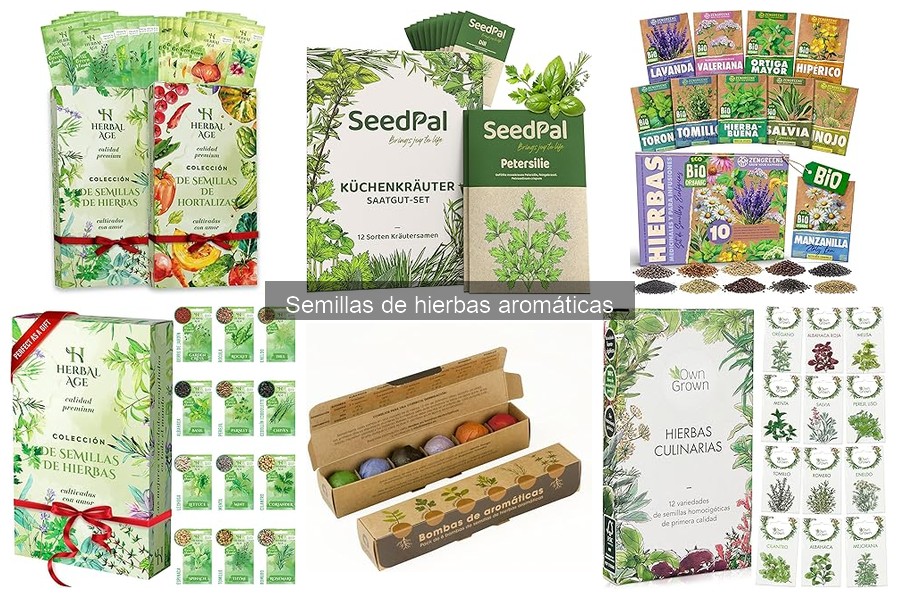 Tipos de semillas de hierbas aromáticas para cultivar en casa