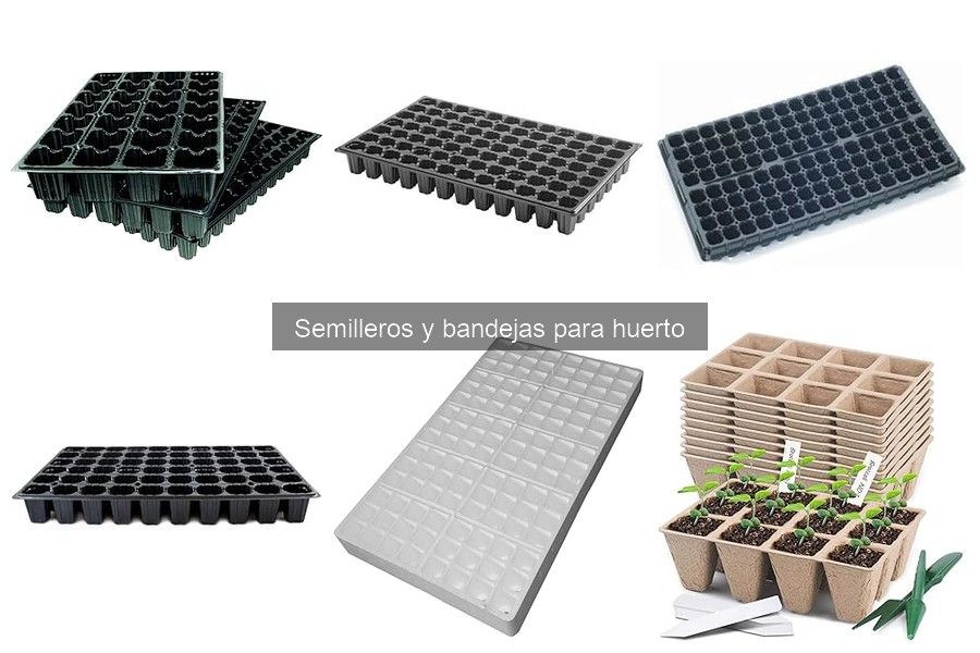 Tipos de semilleros y bandejas para huerto: Guía completa