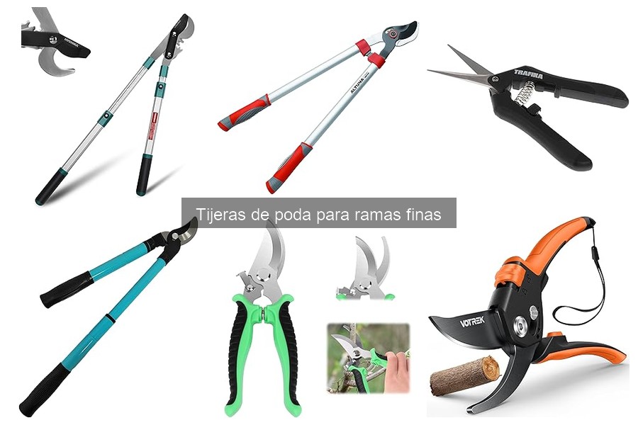 Tipos de tijeras de poda para ramas finas: guía completa