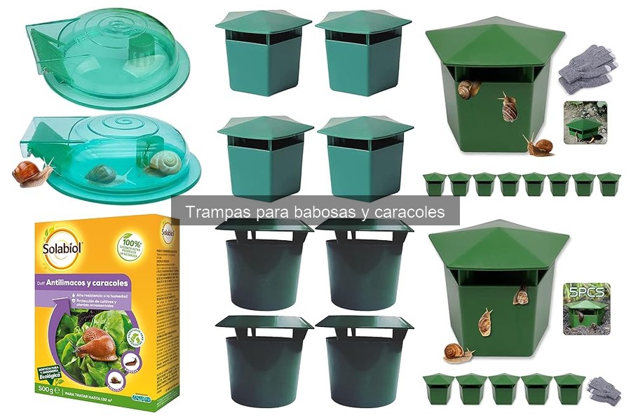 Tipos de trampas para babosas y caracoles: guía completa