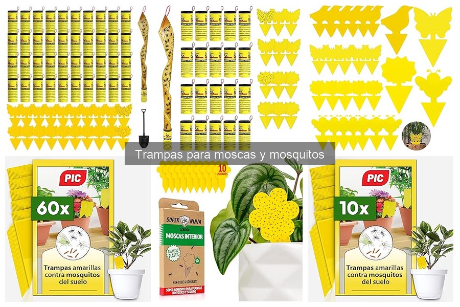 Tipos de trampas para moscas y mosquitos: ¿cuál elegir?