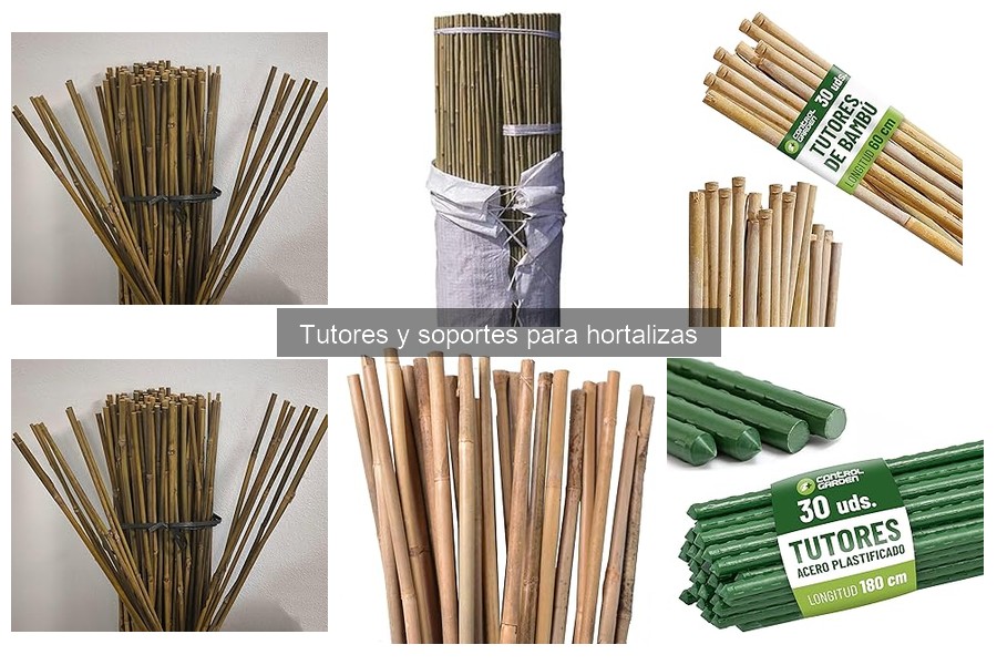 Tipos de tutores y soportes para hortalizas: ¡Guía completa!