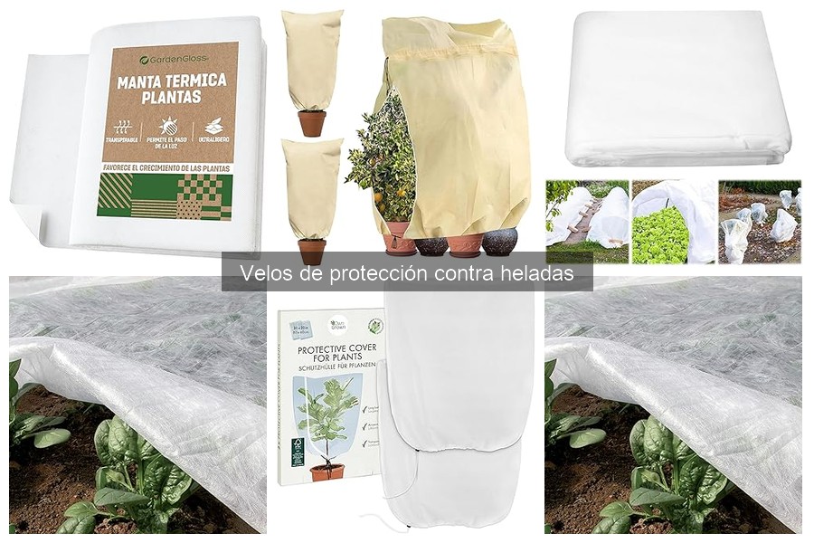Tipos de velos de protección contra heladas para tu jardín