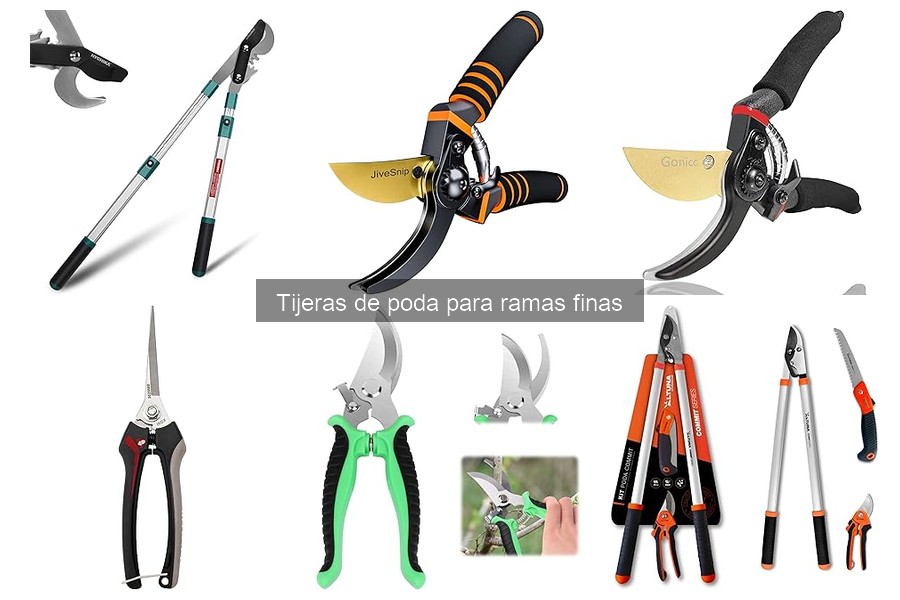 Todo sobre tijeras de poda para ramas finas