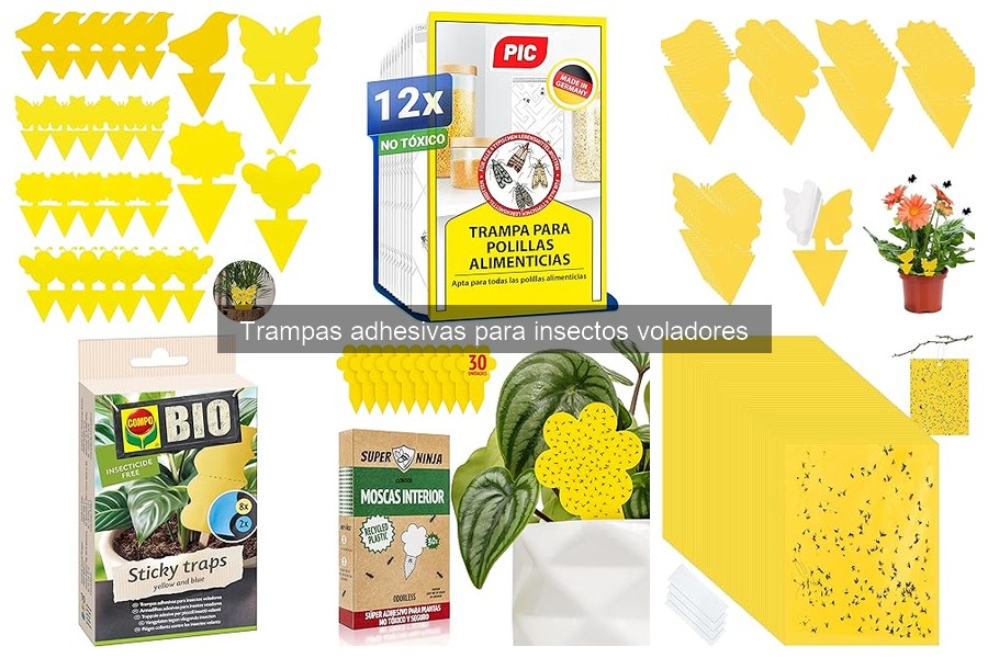 Trampas Adhesivas para Insectos Voladores: ¿Qué Son y Cómo Funcionan?
