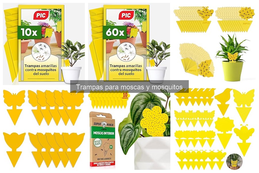 Trampas para moscas y mosquitos: ¿Qué son y cómo funcionan?