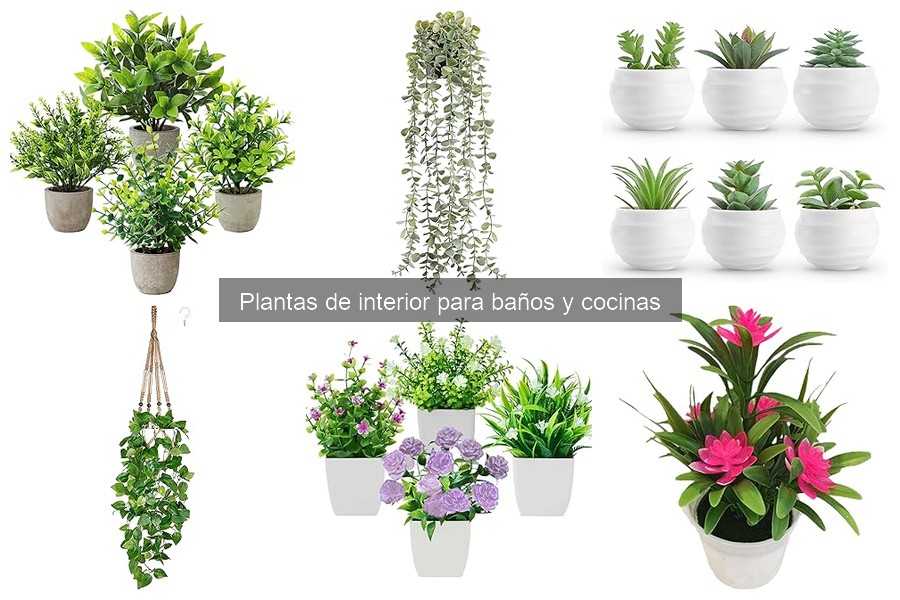 Trucos para mantener plantas en baños sin ventanas