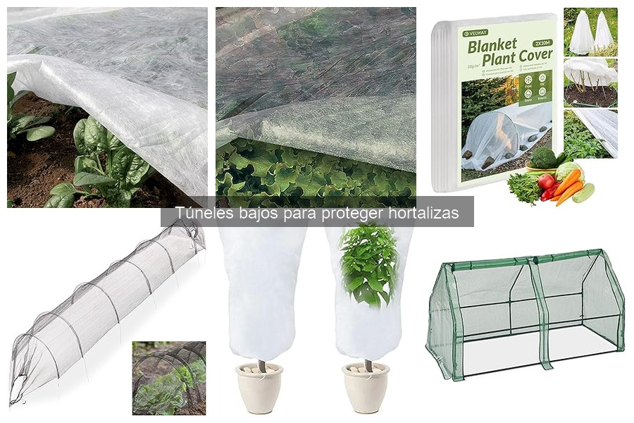 Túneles bajos para proteger hortalizas: ¿Qué son y cómo funcionan?