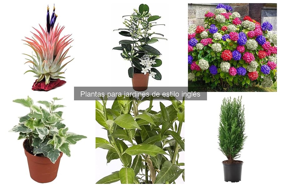 Variedades de árboles ideales para jardines de estilo inglés