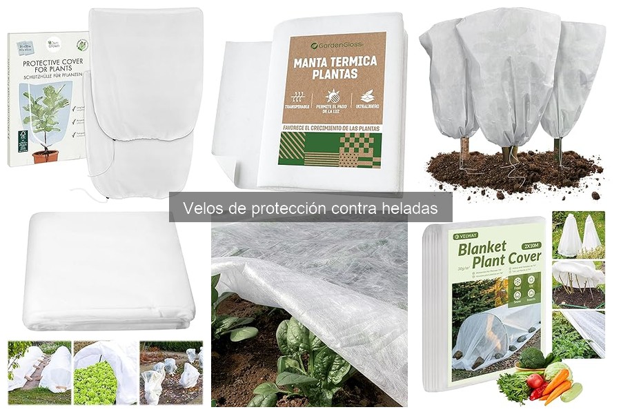 Velos de Protección contra Heladas: Todo Lo Que Debes Saber