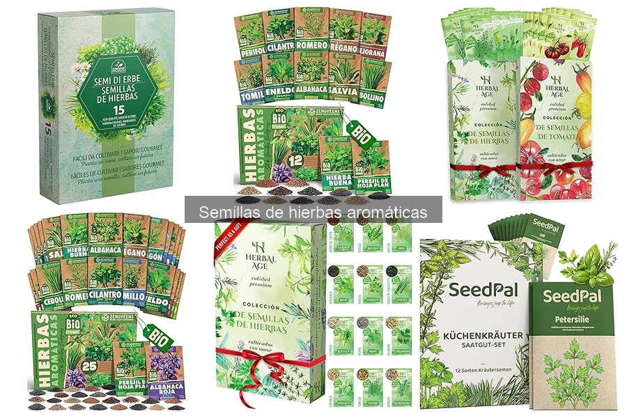 Ventajas de Cultivar Hierbas Aromáticas en Casa