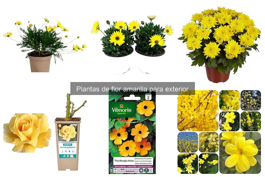 Ventajas de Cultivar Plantas de Flor Amarilla en el Jardín