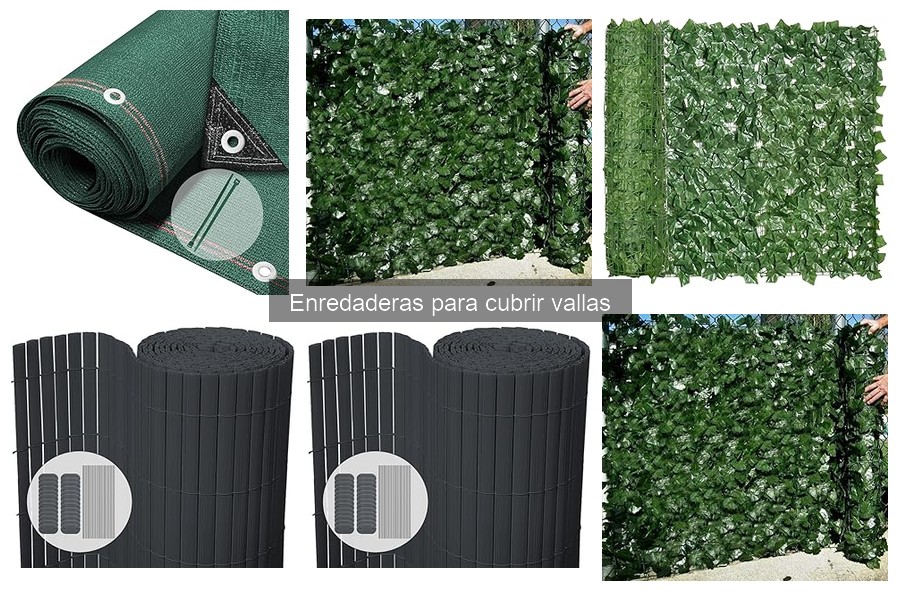 Ventajas de Enredaderas para Cubrir Vallas en Jardín