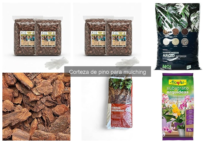 Ventajas de la Corteza de Pino como Mulch para tu Jardín