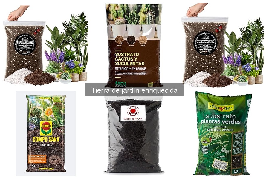 Ventajas de la tierra de jardín enriquecida para el cultivo