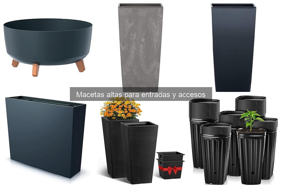 Ventajas de las macetas altas en jardines y entradas