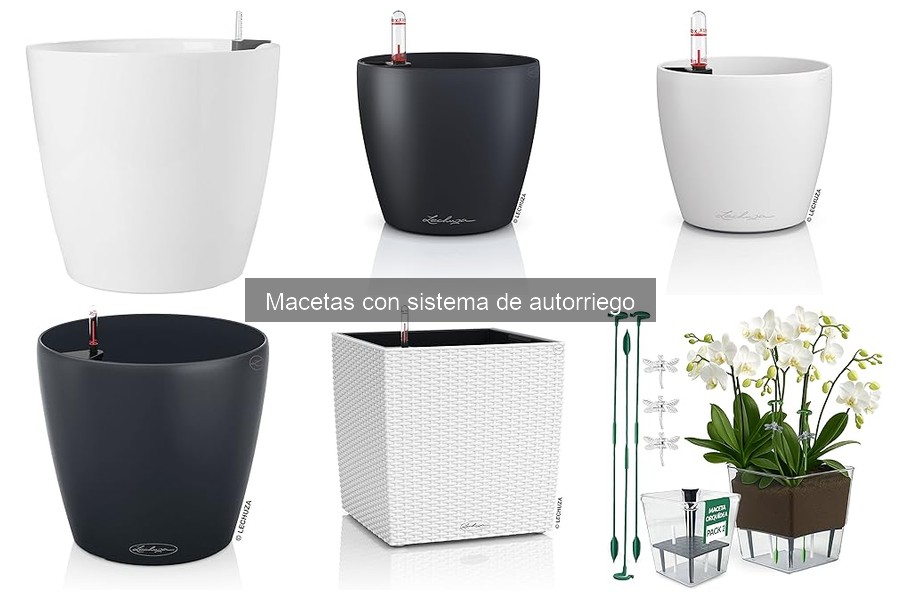 Ventajas de las Macetas con Autorriego en Jardinería