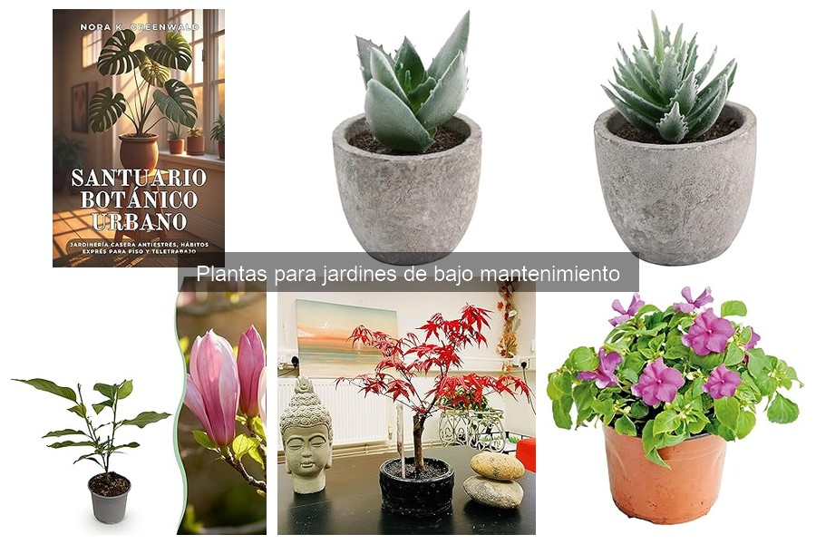 Ventajas de las plantas perennes para jardines de bajo mantenimiento