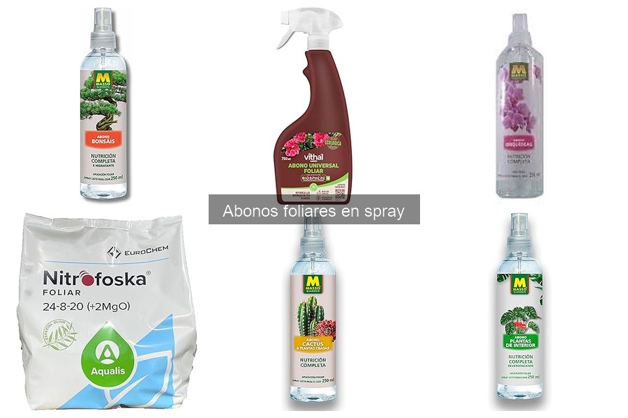 Ventajas de los Abonos Foliares en Spray para tu Jardín