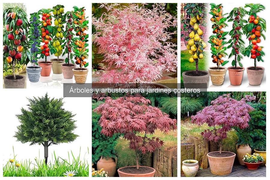 Ventajas de los Arbustos Nativos en Jardines Costeros