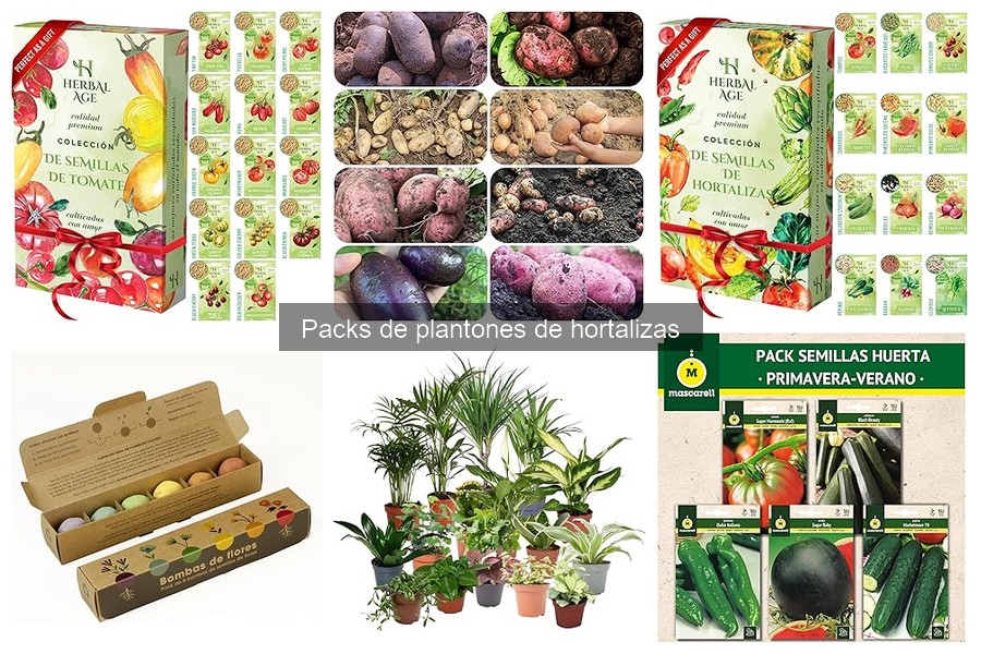 Ventajas de Packs de Plantones de Hortalizas vs. Semillas
