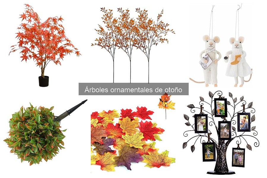 Ventajas de plantar árboles ornamentales en otoño