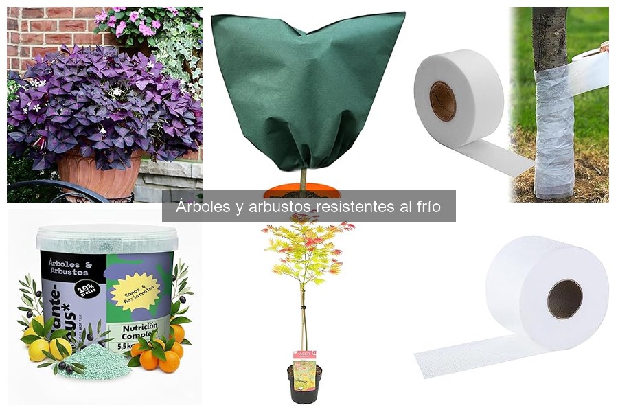 Ventajas de plantar árboles resistentes al frío en tu jardín
