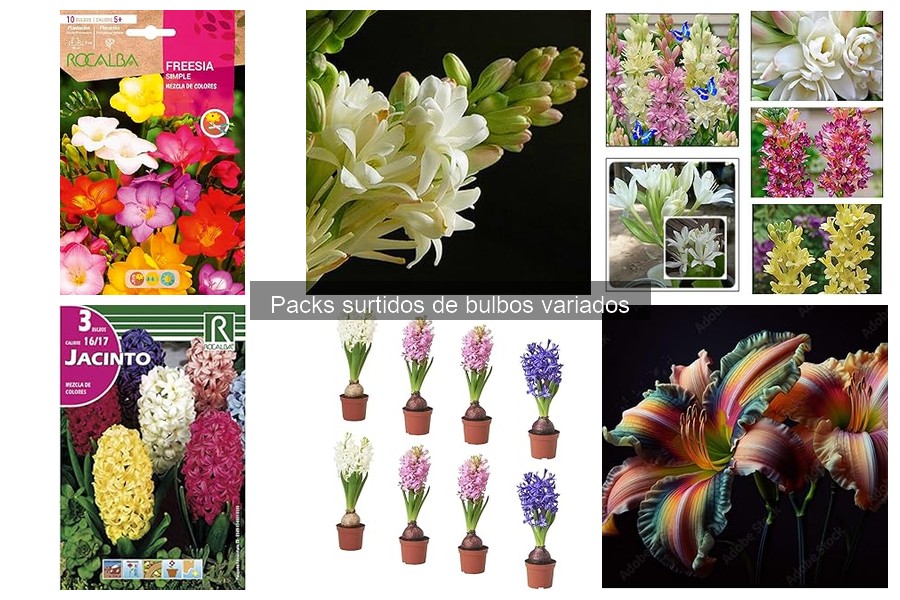 Ventajas de plantar bulbos variados en tu jardín