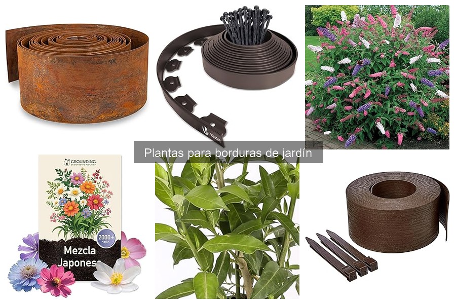Ventajas de Plantas en Borduras vs Cercas en Jardines