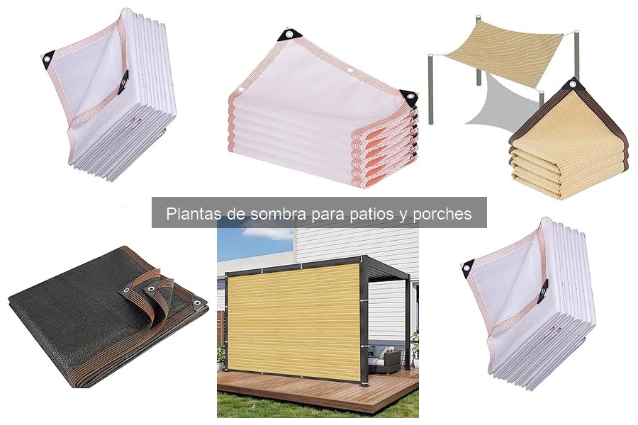 Ventajas de tener plantas de sombra en el patio