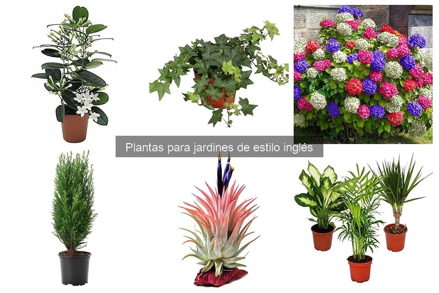 Ventajas de Tener un Jardín de Estilo Inglés