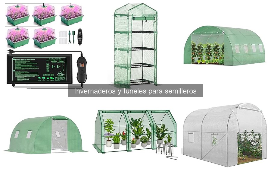 Ventajas de Túneles vs Invernaderos para Cultivos