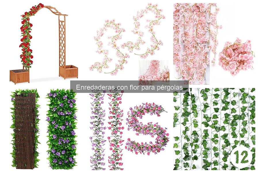 Ventajas de Usar Enredaderas con Flor en Pérgolas
