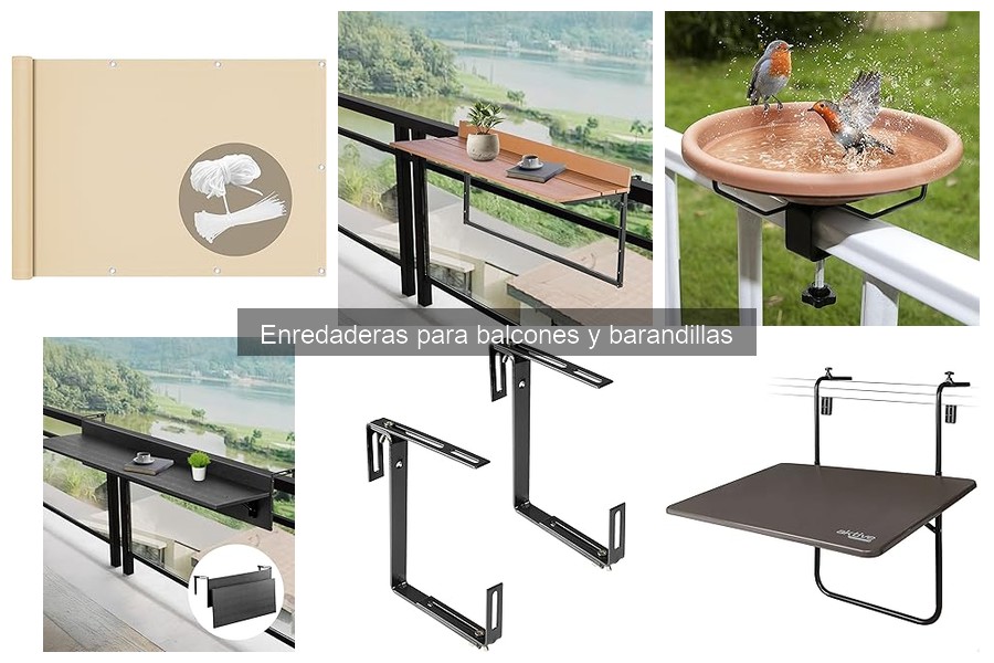 Ventajas de usar enredaderas en barandillas y balcones