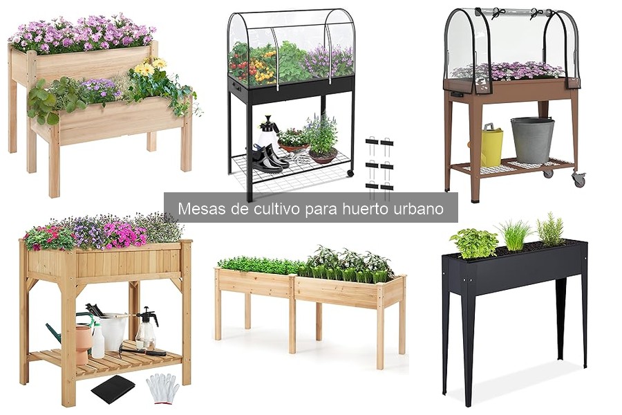 Ventajas de usar mesas de cultivo en el huerto urbano