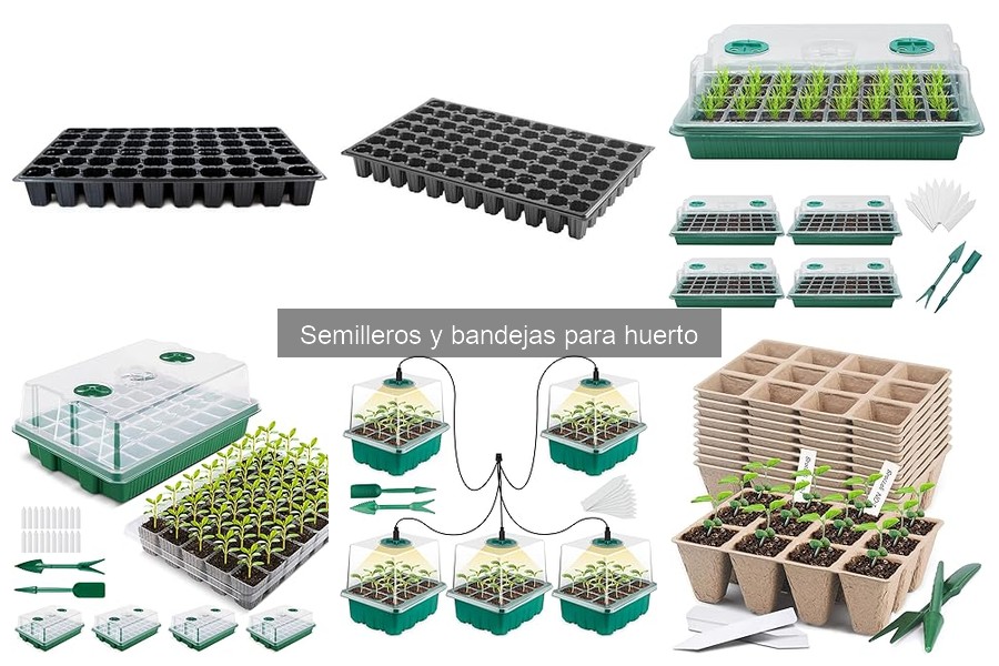 Ventajas de usar semilleros en tu huerto doméstico